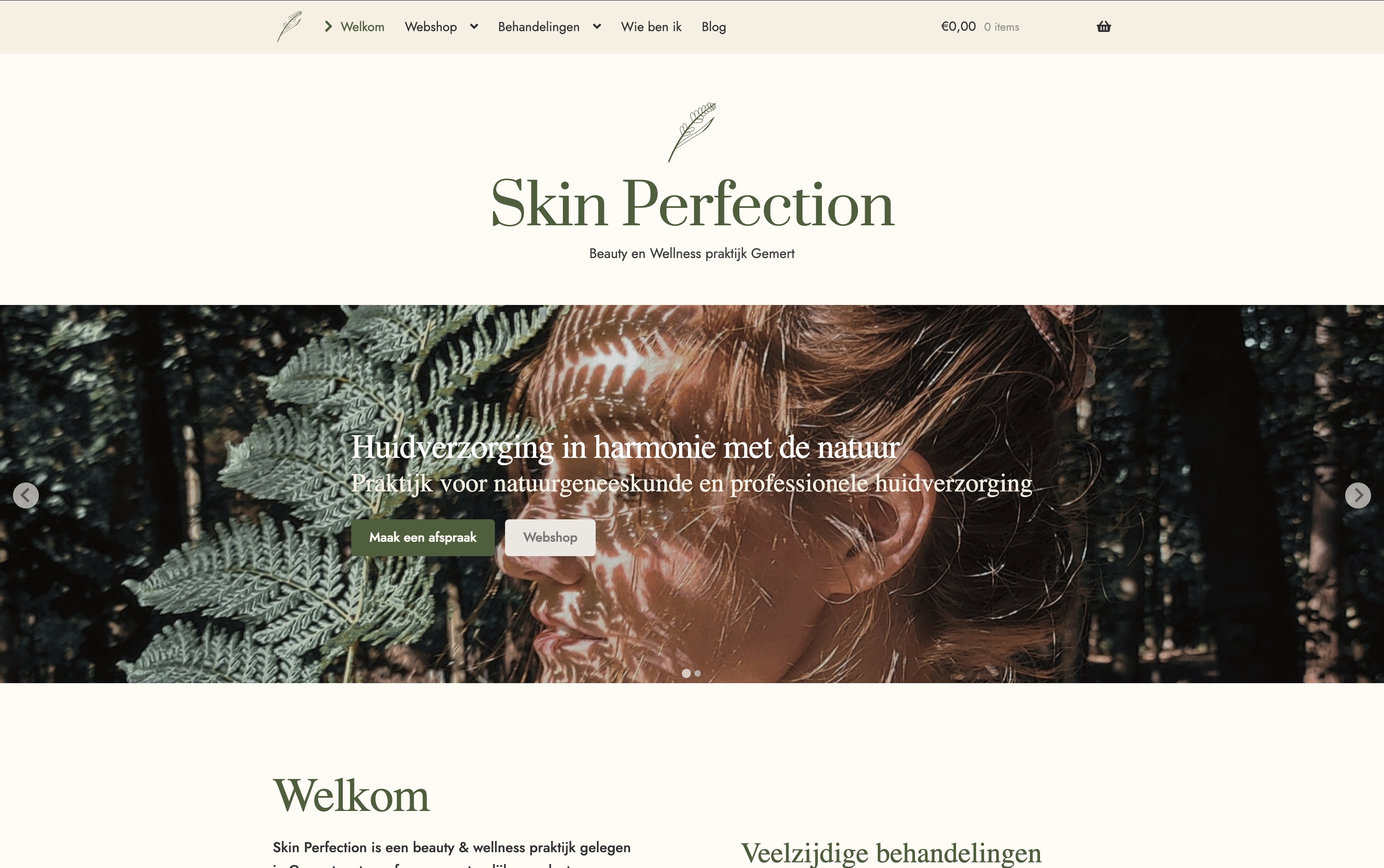 Skin Perfection beauty site